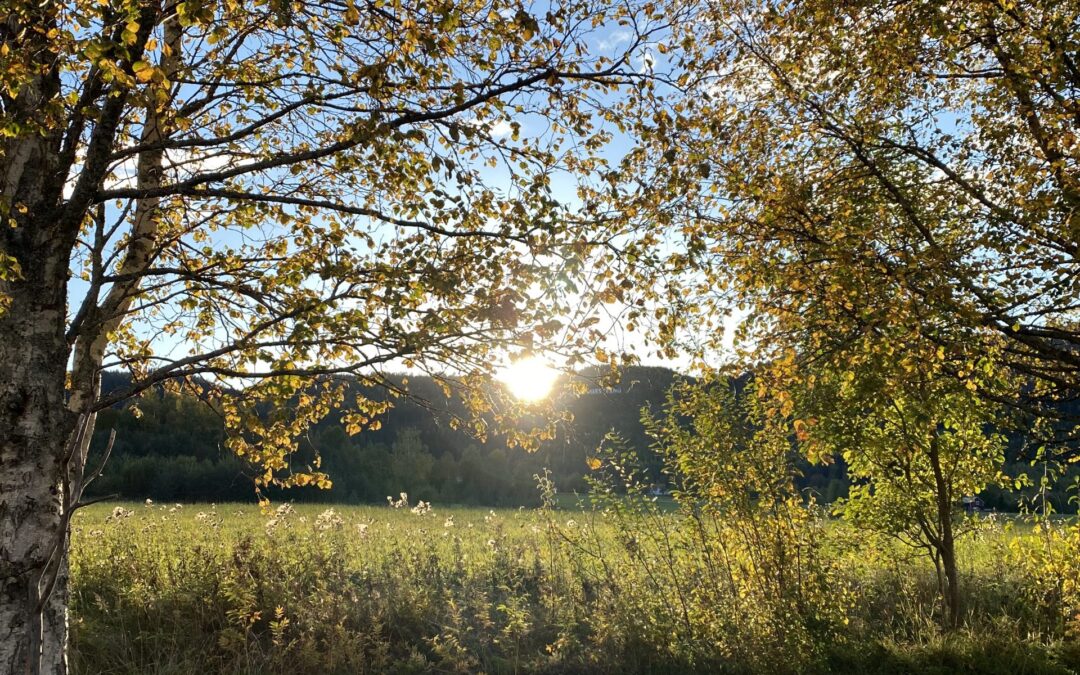 Summer vacation in Jämtland, Sweden
